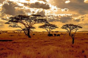 Hidden Gems in West Africa