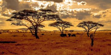 Hidden Gems in West Africa
